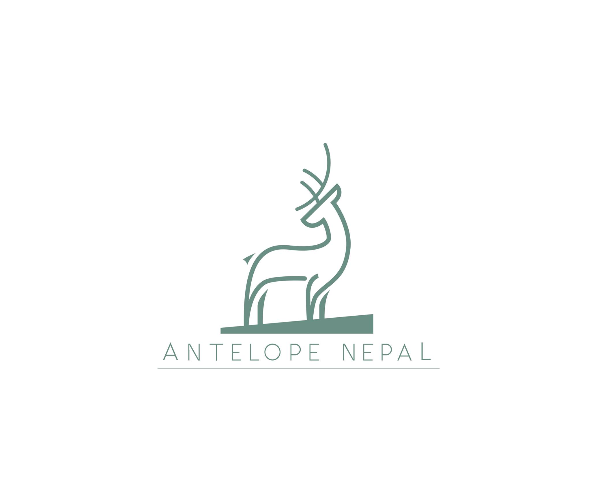 Antelope Nepal